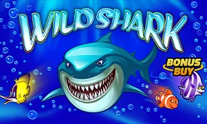 Wild Shark